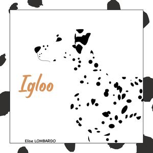 Igloo - ARABE