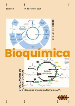 Revista De Bioquimica