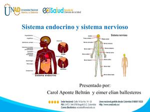 Exposicion Sistema Endocrino Y Nervioso Final