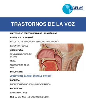 Revista Trastornos De La Voz