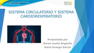 Exposición Sistema Circulatorio Y Sistema Cardiorespiratorio Pdf