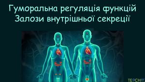 Гуморальна регуляція .
