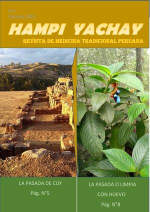 Revista Hampi Yachay