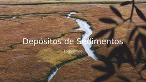 Despositos de sedimentos