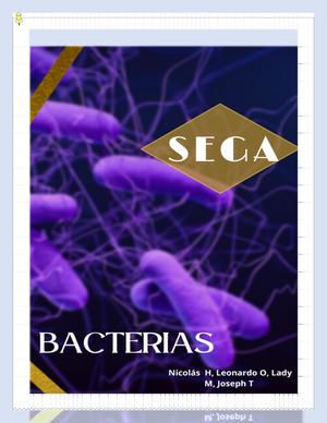 El Mundo De Las Bacterias