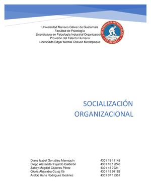 Ensayo Socializacion