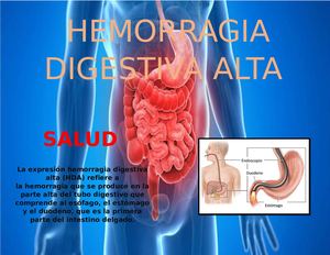Revista De Medicina