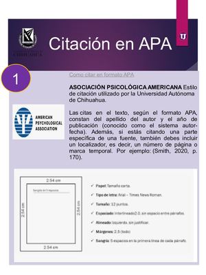 Apa