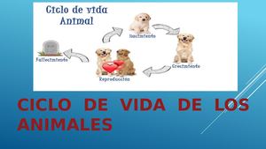 Reproducción En Animales