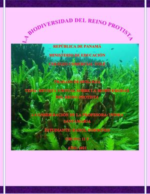 Revista Virtual El Reino Protista