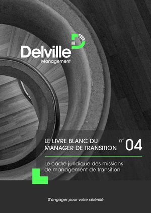 Delville Management Livre Blanc Cahier 2 Calameo 10032021