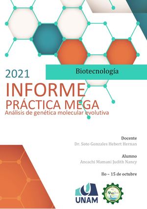 USO DEL SOFTWARE MEGA