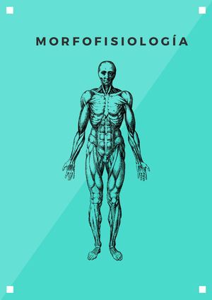 Morfofisiología