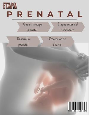 Etapa Prenatal