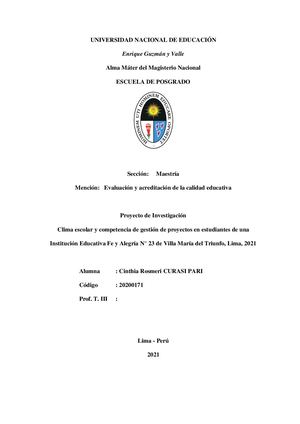 Curasi Pari Proyecto De Tesis