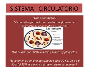 Sistema Circulatorio