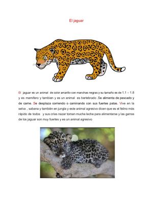 El Jaguar Descripción (2)