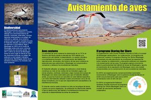 Avistamiento De Aves