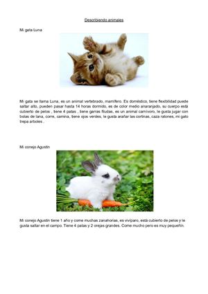 Describiendo animales