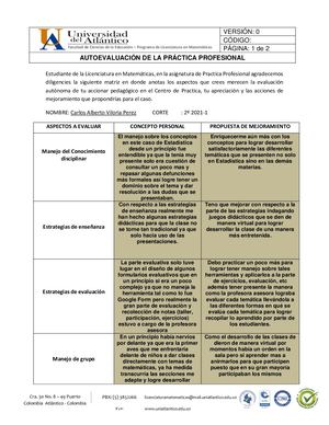 Formato De Autoevaluacion De La Practica Profesional