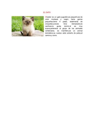 El Gato