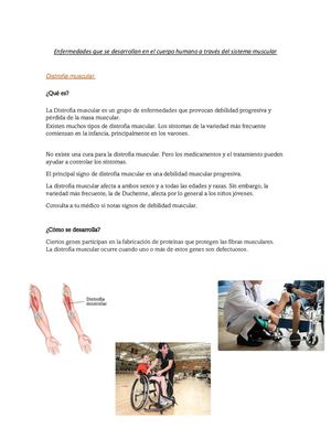 Enfermedades Que Se Desarrollan En El Cuerpo Humano A Través Del Sistema Muscular