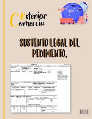 Sustento Legal Del Pedimento