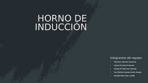Horno De Inducción