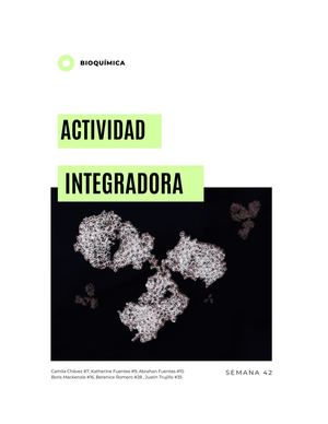 Semana 42 Actividad Integradora Final