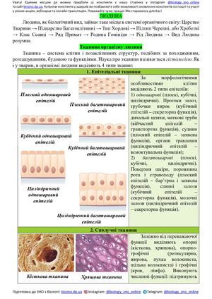 Конспект Тканини. Опорно-рухова система людина