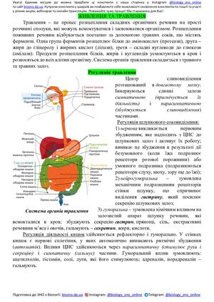 Конспект. Травлення ,Виділення, Ендокринні залози
