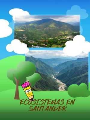 Ecosistemas En Santander