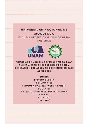 Informe N°02 Informe De Uso Del Software Mega Dna