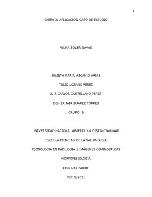 Tarea 3 Aplicacion Estudio De Caso