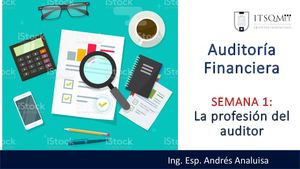 Profesion Auditor