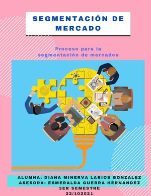 2 2 Proceso Para La Segmentación De Mercados Diana Larios