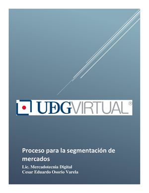 Proceso Para La Segmentación De Mercados