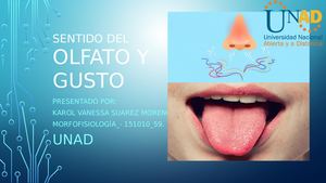 Sentido Del Olfato Y Gusto