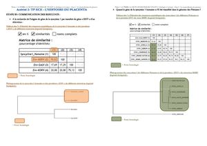 Tspé Th 1a2 Act2 Tp Syncytines Corrige