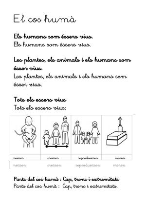 El Cos Humà Pdf