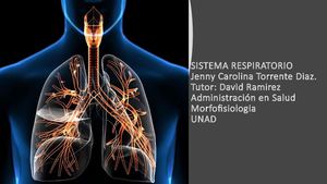 Sistema Respiratorio