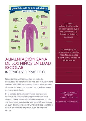 Instructivo De Alimentación