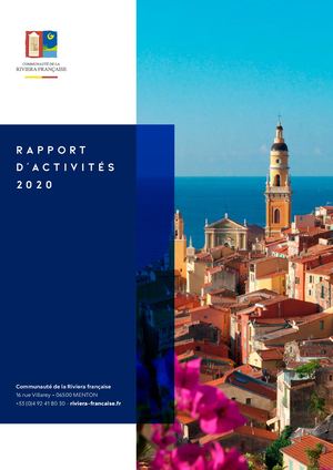 Carf Rapport D'activite 2020 Web