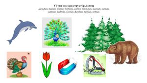 6 тип слоговой структуры