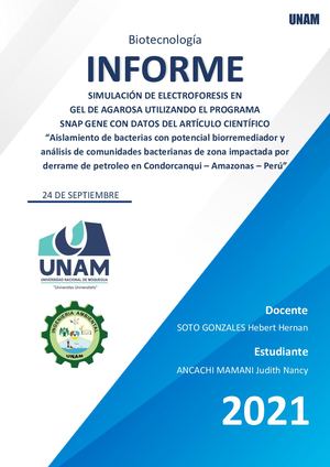SIMULACIÓN DE ELECTROFORESIS EN GEL DE AGAROSA UTILIZANDO EL PROGRAMA SNAP GENE CON DATOS DEL ARTÍCULO CIENTÍFICO “Aislamiento de bacterias con potencial biorremediador y análisis de comunidades bacterianas de zona impactada por derrame de petroleo en Con