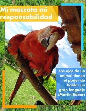 Mi Mascota Mi Responsabilidad Sara Burbano