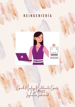 Reingenieria