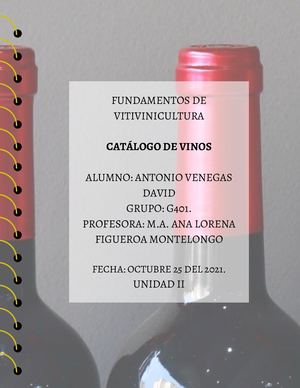 Catalogo De Vinos David Antonio Venegas