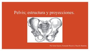 Pelvis; estructura y proyecciones.