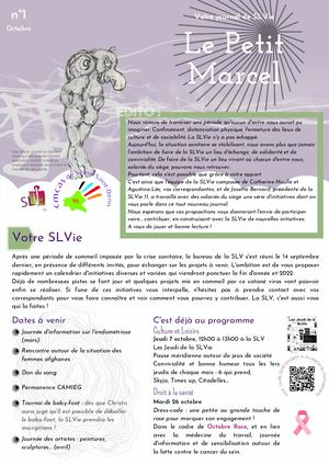 N°1 Journal Slvie 11